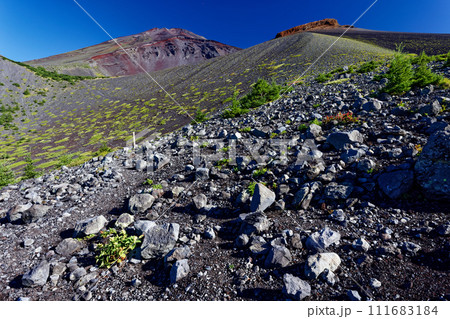 御殿庭から見る宝永火口と富士山山頂 御殿庭から見る宝永火口と富士山山頂 111683184