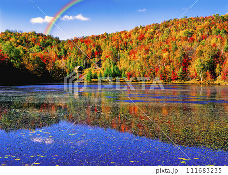 ローレンシアン高原の美しい紅葉風景 111683235