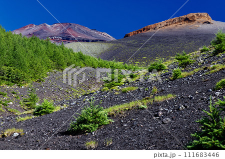御殿庭から見る宝永火口と富士山山頂の眺め 111683446