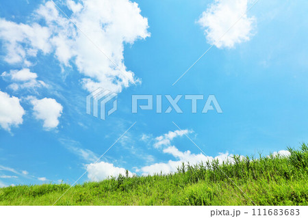 爽やかな夏の青空と新緑の草原風景 111683683