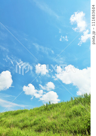 爽やかな夏の青空と新緑の草原風景 111683684