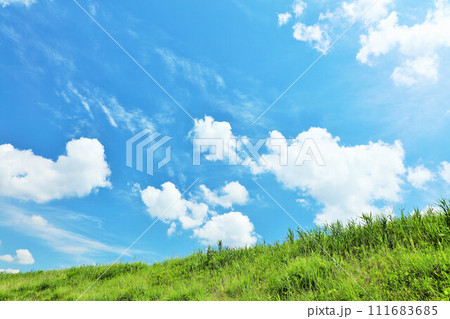 爽やかな夏の青空と新緑の草原風景 111683685
