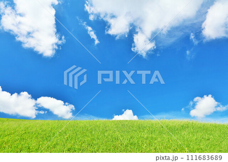 爽やかな夏の青空と新緑の草原風景 爽やかな夏の青空と新緑の草原風景 111683689