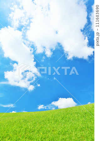 爽やかな夏の青空と新緑の草原風景 111683690