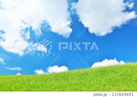 爽やかな夏の青空と新緑の草原風景 111683691