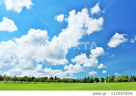 夏の青空と新緑の公園風景 111683694