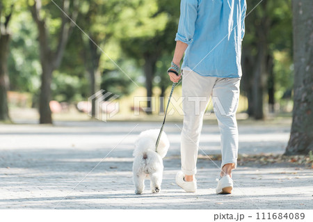 犬の散歩をする愛犬家の中高年男性の後ろ姿・運動・ドッグセラピー 111684089