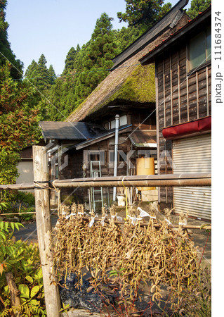 新潟の農村風景 新潟の農村風景 111684374