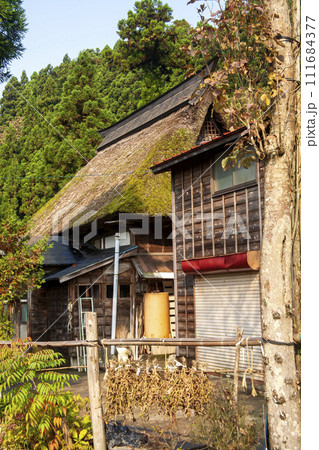 新潟の農村風景 111684377