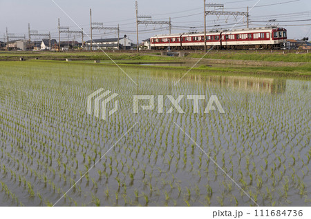 近鉄の普通列車(箕田~伊勢若松) 近鉄の普通列車(箕田~伊勢若松) 111684736