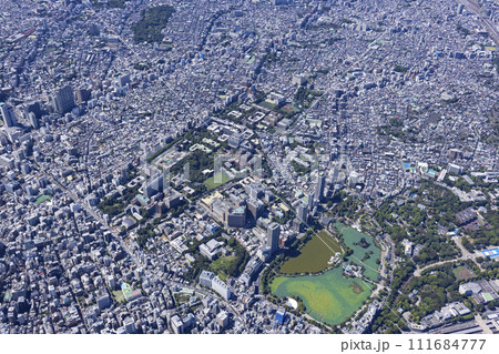 本郷湯島全景俯瞰・東京大学全景・空撮 本郷湯島全景俯瞰・東京大学全景・空撮 111684777