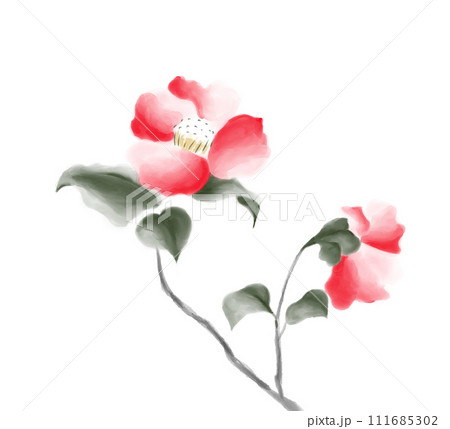 ツバキ 墨彩画 111685302