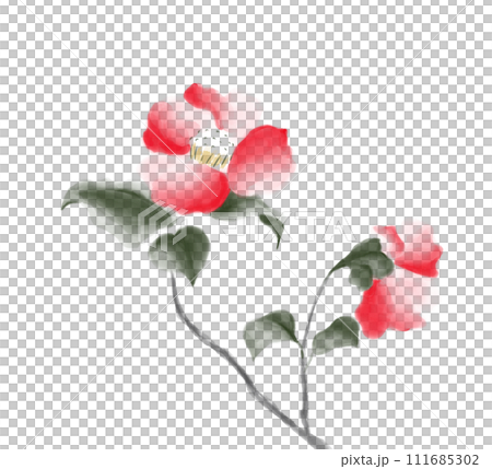 ツバキ 墨彩画 111685302