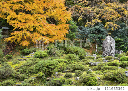 秋の萬德寺（福井県）　庭園 111685362