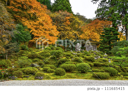 秋の萬德寺(福井県) 庭園の紅葉 秋の萬德寺(福井県) 庭園の紅葉 111685415