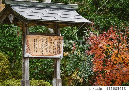 秋の萬德寺(福井県) 庭園 秋の萬德寺(福井県) 庭園 111685418