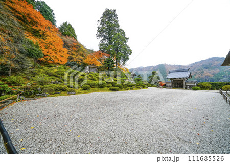 秋の萬德寺(福井県) 庭園 秋の萬德寺(福井県) 庭園 111685526