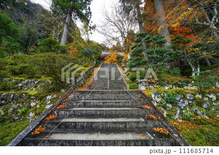 秋の萬德寺（福井県）　本堂への石段 111685714