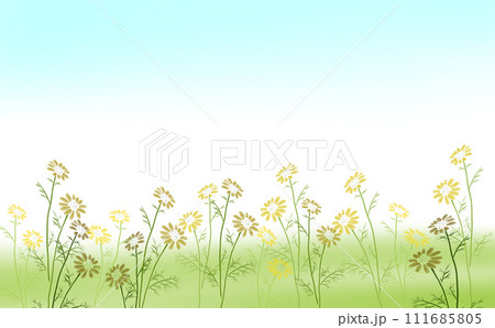 春菊畑 フレーム 111685805