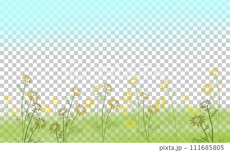 春菊畑 フレーム 111685805