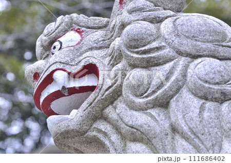 神社の狛犬 神社の狛犬 111686402