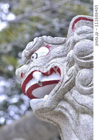 神社の狛犬 神社の狛犬 111686405