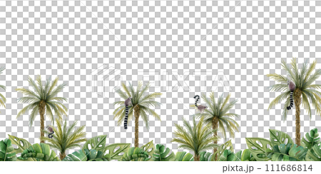 Lemurs monkeys on palm trees, tropical leaves and bushes horizontal seamless border with jungle forest nature and exotic plants isolated on white background 111686814