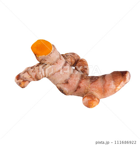 Turmeric Herb Contains Bioactive Compounds isolated on a white background Turmeric Herb Contains Bioactive Compounds isolated on a white background 111686922