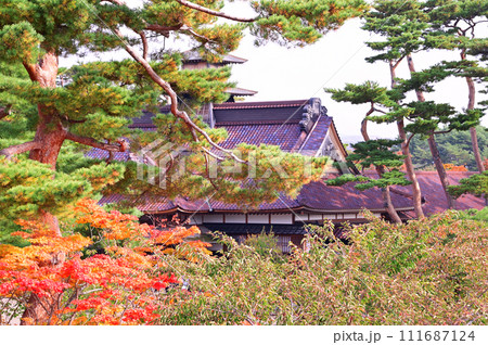 紅葉五稜郭-2 紅葉五稜郭-2 111687124