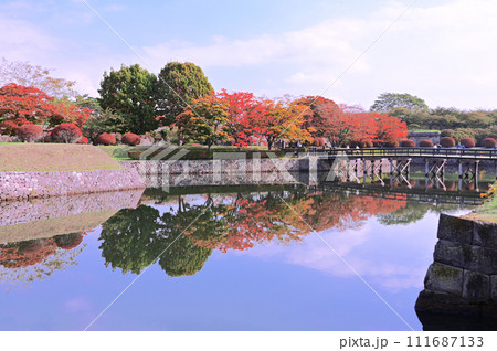 紅葉五稜郭-2 紅葉五稜郭-2 111687133