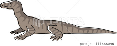 手描きのオオトカゲのイラスト 111688090