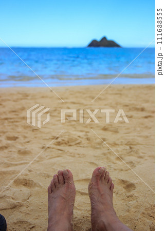 美しいハワイのビーチの風景 美しいハワイのビーチの風景 111688555