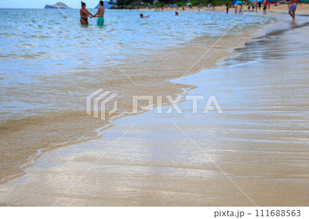 美しいハワイのビーチの風景 111688563