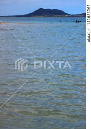 美しいハワイのビーチの風景 111688565