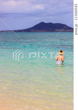 美しいハワイのビーチの風景 美しいハワイのビーチの風景 111688585