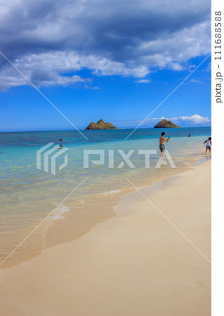 美しいハワイのビーチの風景 111688588