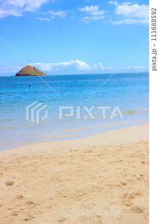 美しいハワイのビーチの風景 美しいハワイのビーチの風景 111688592