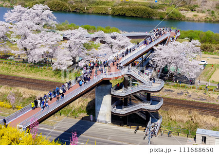 しばた千桜橋(宮城県大河原町) しばた千桜橋(宮城県大河原町) 111688650