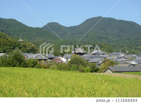 当麻寺　二上山　奈良県葛城市 111688884