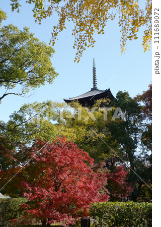 秋の東寺 五重塔 東寺京都市南区 秋の東寺 五重塔 東寺京都市南区 111689072