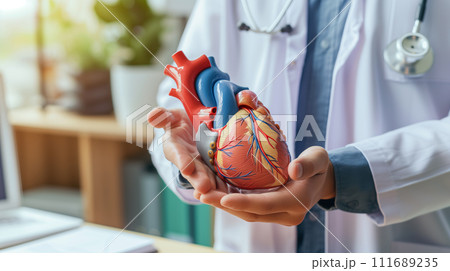 A physician's hand holding a heart model, explaining cardiac health to a patient 111689235