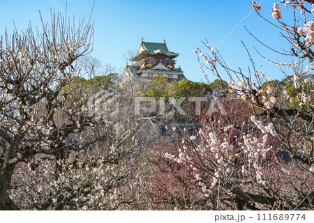 大阪城梅園 大阪城梅園 111689774