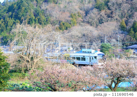 高尾梅郷を行く中央線E353系特急電車 高尾梅郷を行く中央線E353系特急電車 111690546