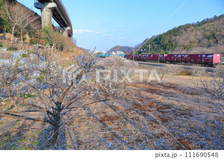 高尾梅郷を行く中央線E353系特急電車 高尾梅郷を行く中央線E353系特急電車 111690548