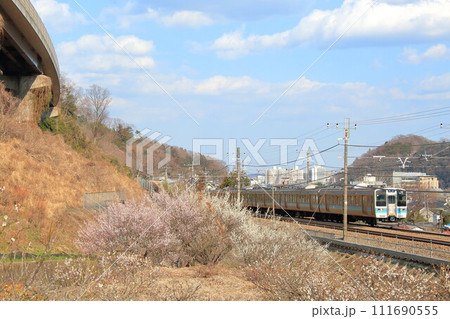 高尾梅郷を行く中央線E353系特急電車 高尾梅郷を行く中央線E353系特急電車 111690555