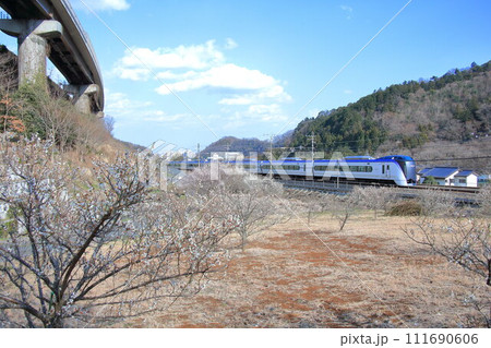高尾梅郷を行く中央線E353系特急 高尾梅郷を行く中央線E353系特急 111690606