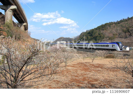 高尾梅郷を行く中央線E353系特急 111690607