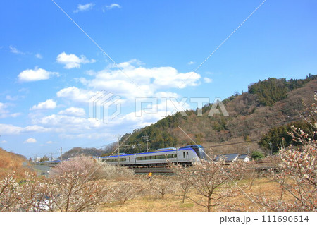 高尾梅郷を行く中央線E353系特急 高尾梅郷を行く中央線E353系特急 111690614