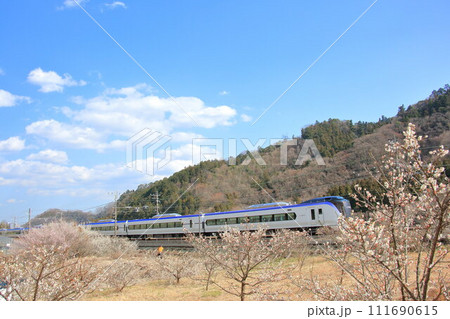 高尾梅郷を行く中央線E353系特急 高尾梅郷を行く中央線E353系特急 111690615