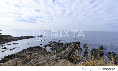 神奈川県横須賀市荒崎公園の冬 111690942